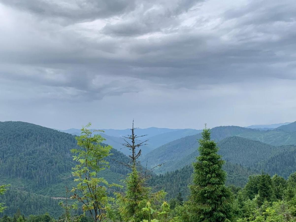Шервуд Appartement Myta Buitenkant foto