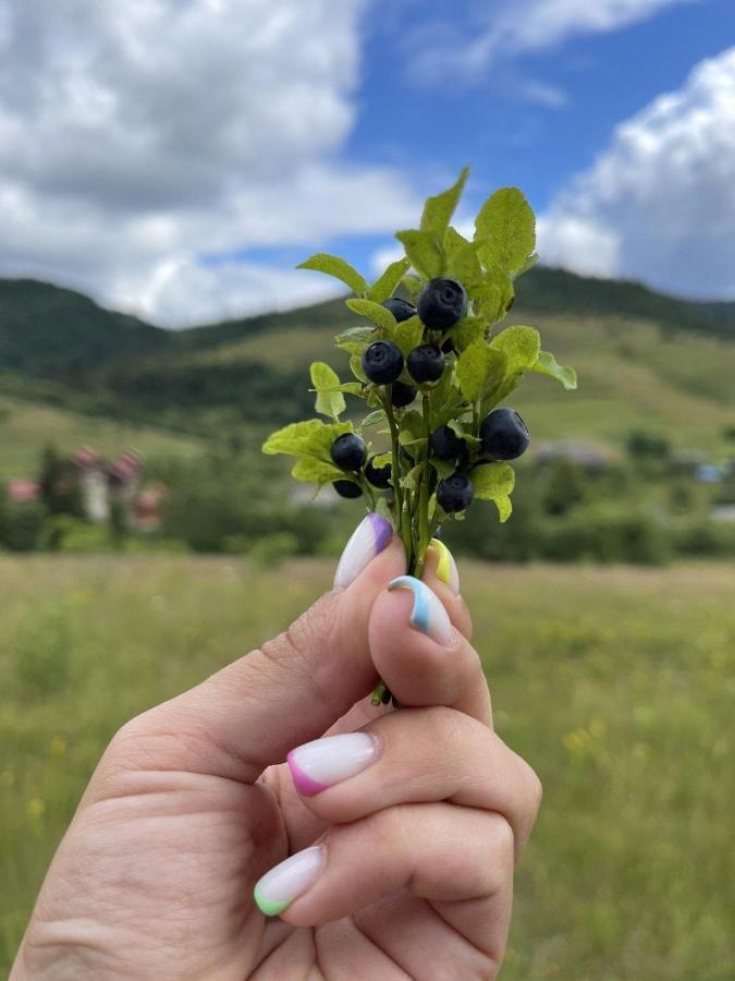Шервуд Appartement Myta Buitenkant foto